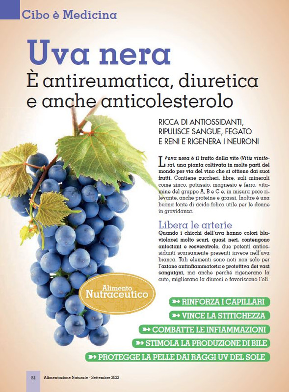 Alim Nat Set 2022 (9)