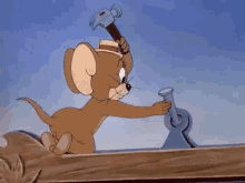 tenor-3.gif