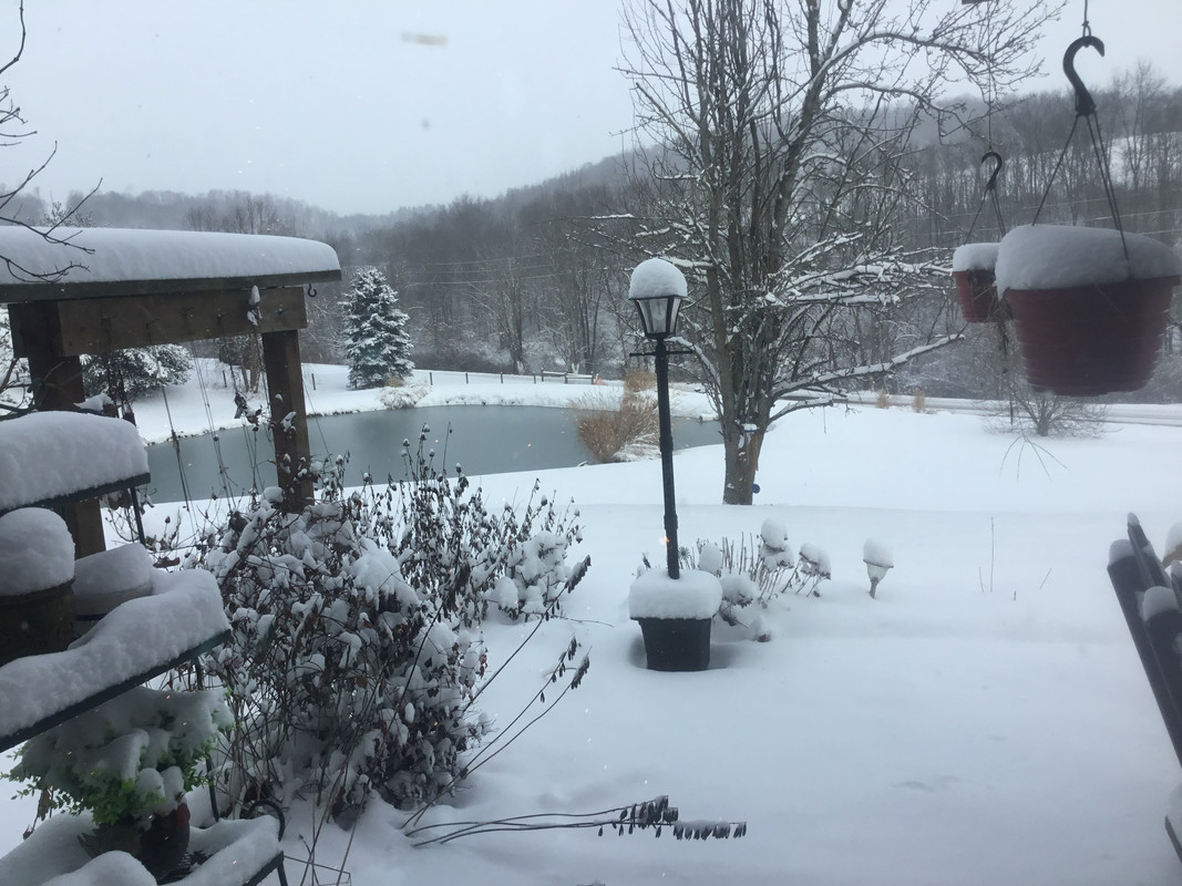 2C08EC59-480F-491D-8358-FC5B32CA5247