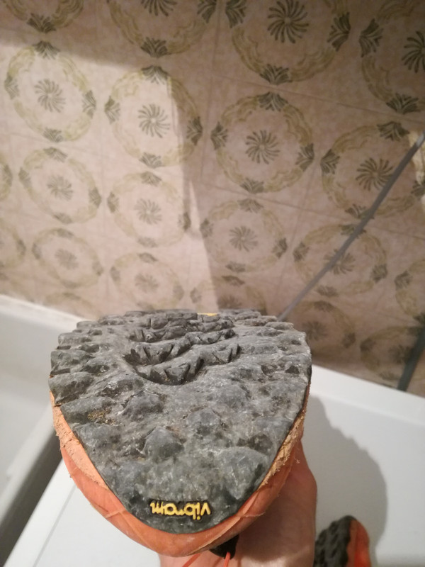 Alpine pro 250km 001