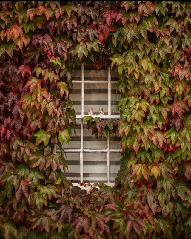 Screenshot_20231127_172219_Instagram