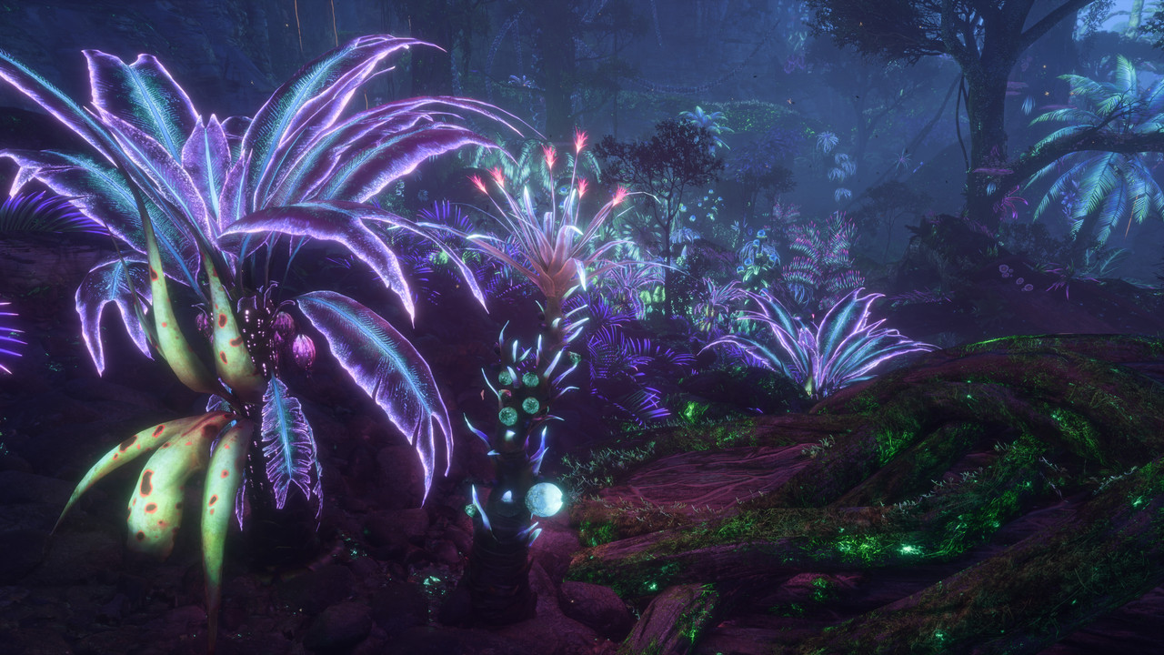 afop 2026 01 08 06 19 16 850