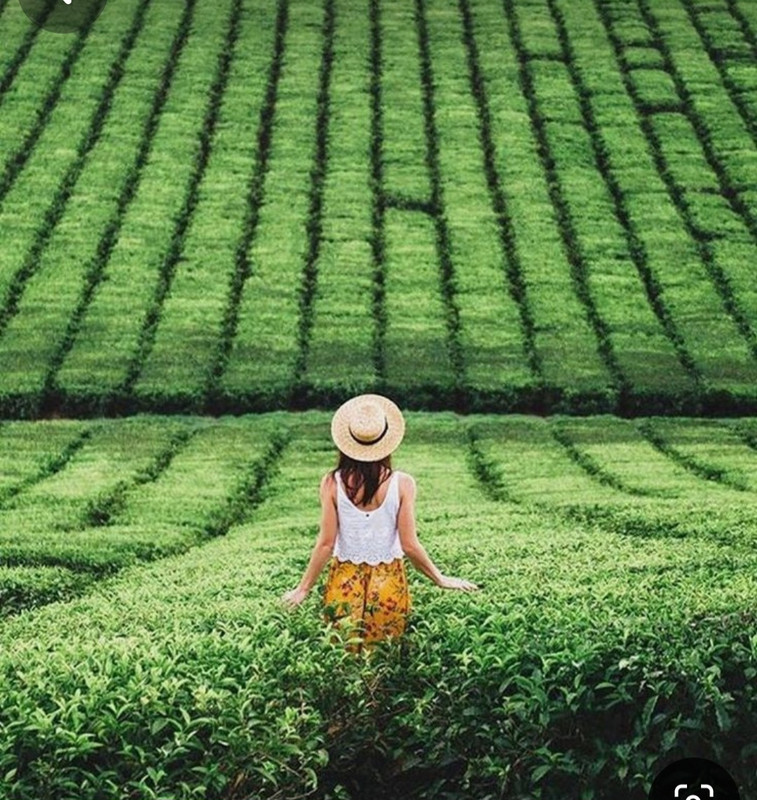 Screenshot_20240609_203954_Pinterest