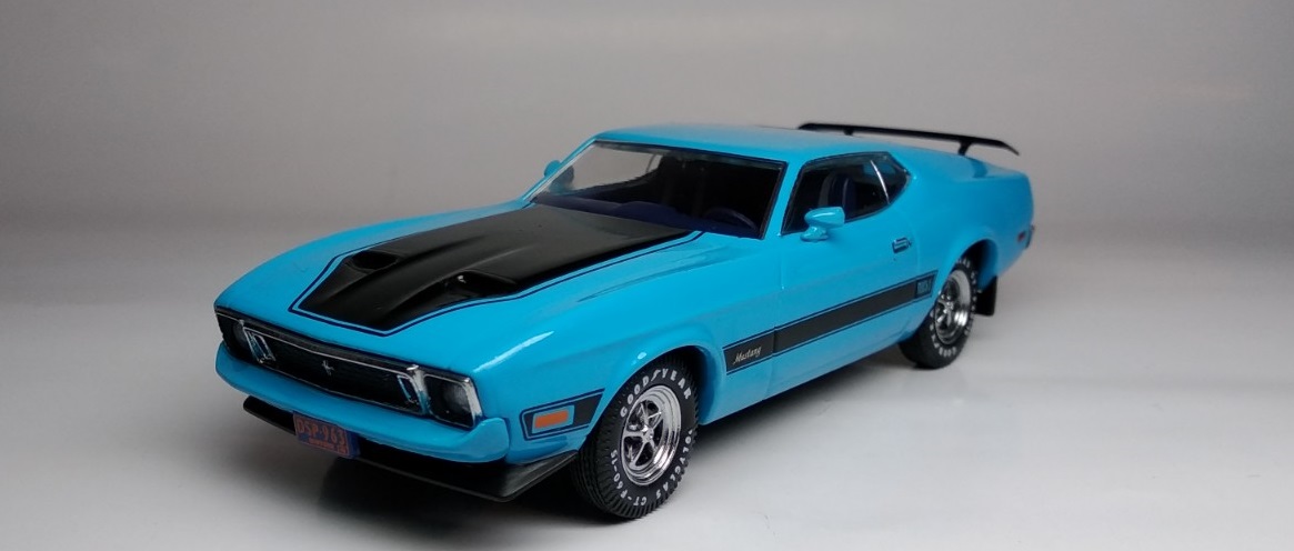 Ford Mustang 1971 (2)