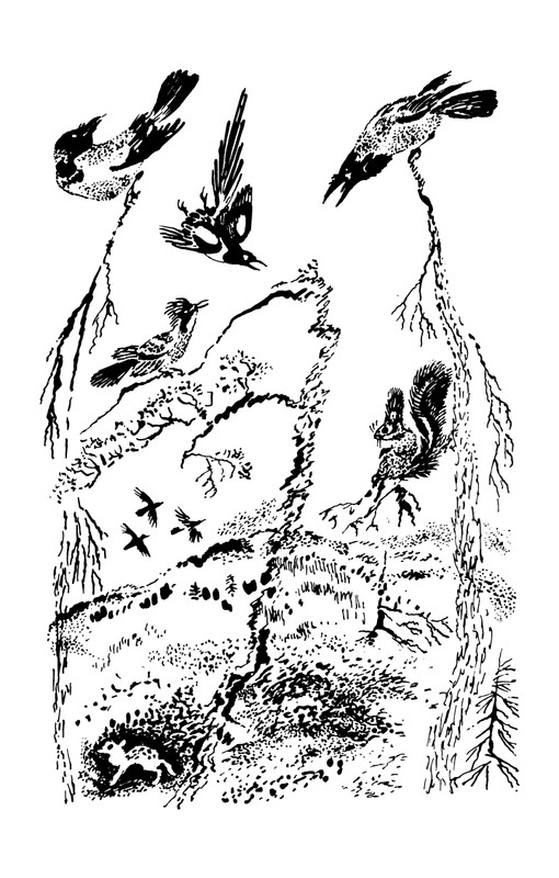 1993-page-0089