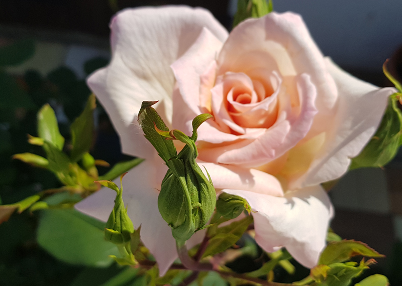 [Image: y20200422-121326.jpg]