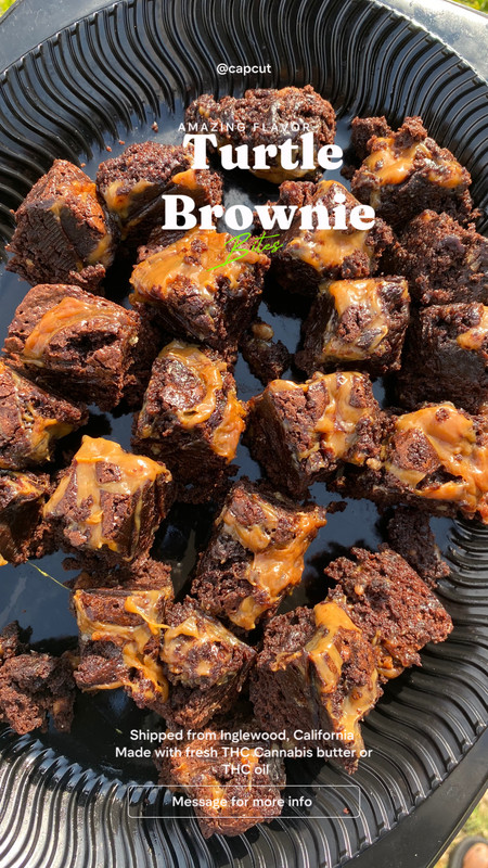 Turtle Bites brownies