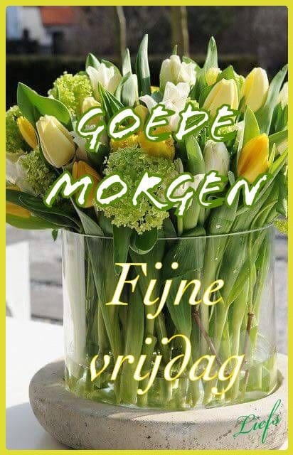 Fijne-vrijdag-Goede-morgen