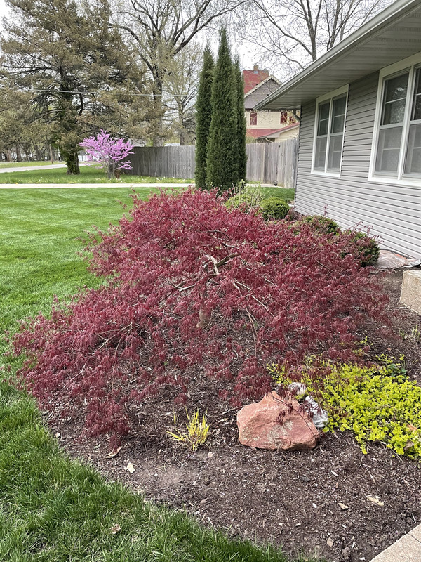 2B0DD9AB-7F21-439A-B8A2-F0B52F05FB4B