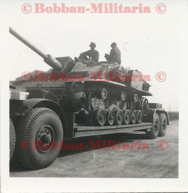 Dänemark Stug-Abt.400- Sturmgeschütz Langrohr TOP Hammer Punkt-T