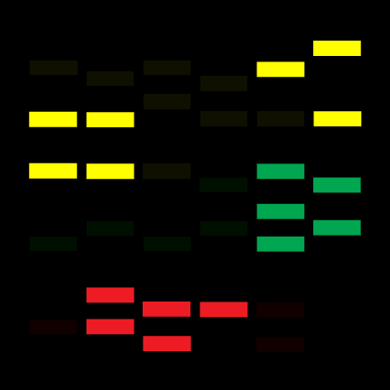 TOS-Enterprise-Bridge-Station-Display-Gif-4.gif