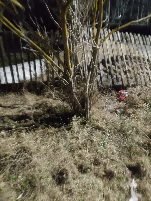 IMG20260316043225 065802