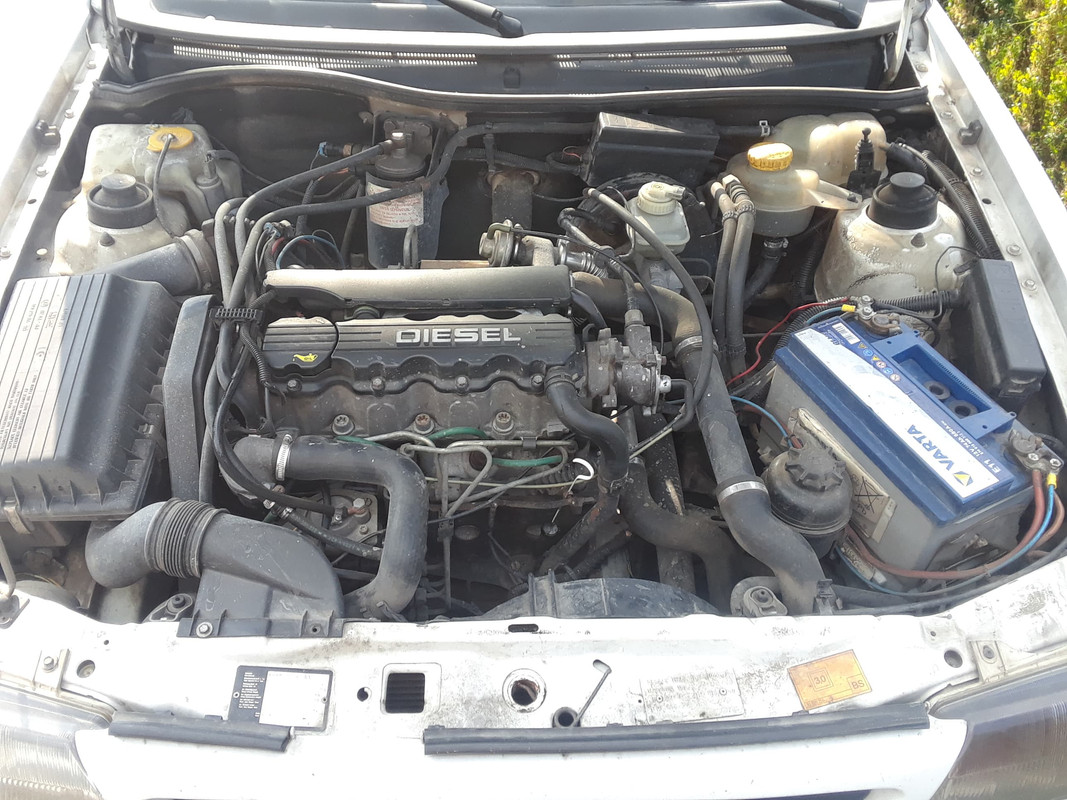 39070101_499383183860138_5943022959886073856_n (1)