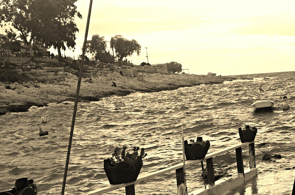 30834557202_3077822b69_o