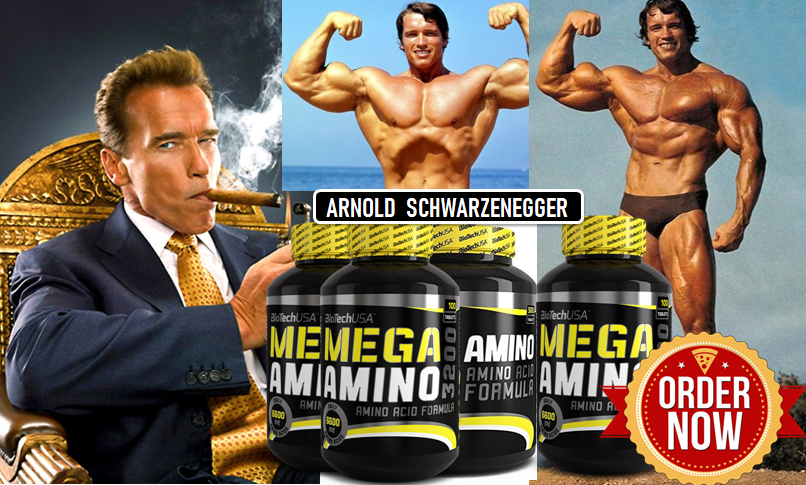 Arnold-Schwarzzenegger-Mega-Amino-ON