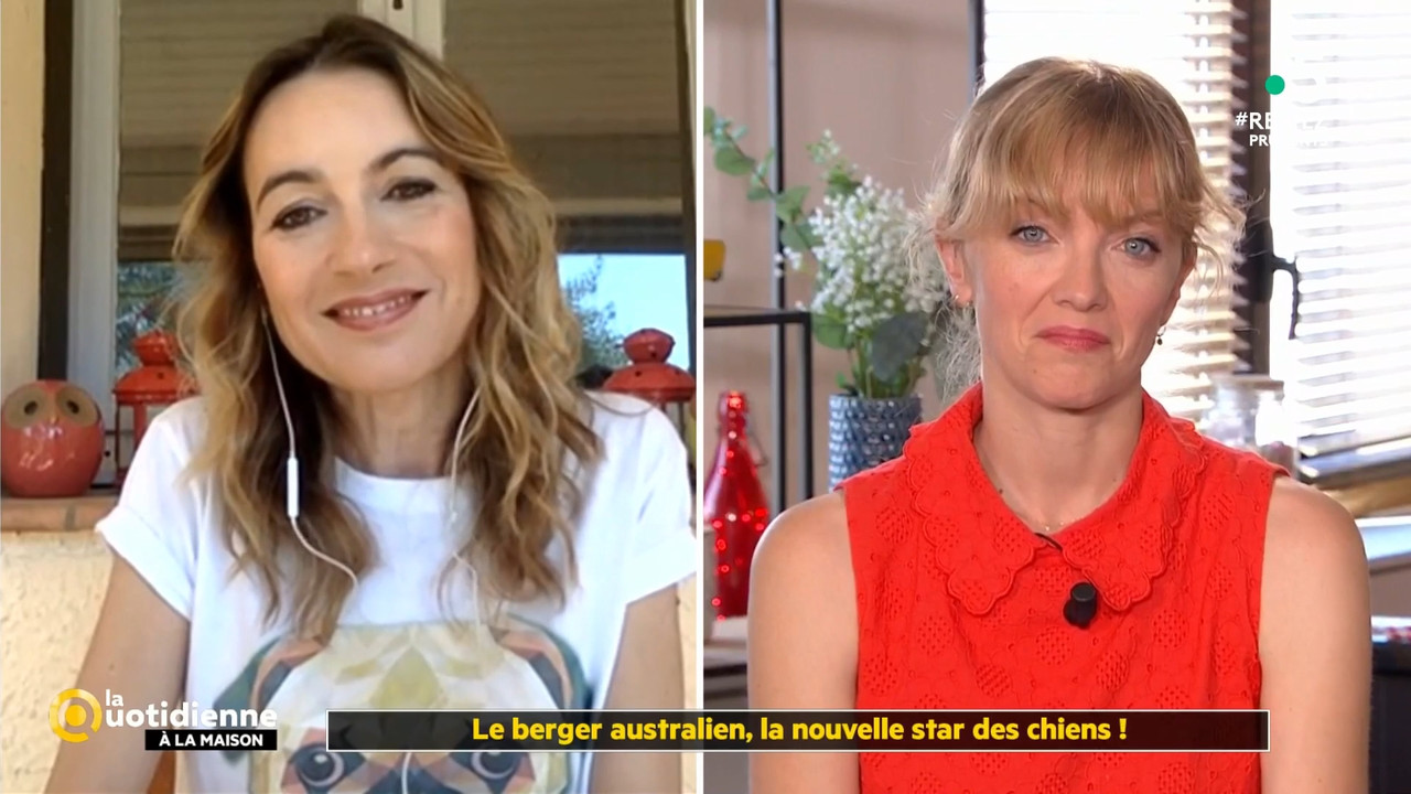 2020-05-27_11_55_Fr5_La-quotidienne.mp4_snapshot_00.35.32.310