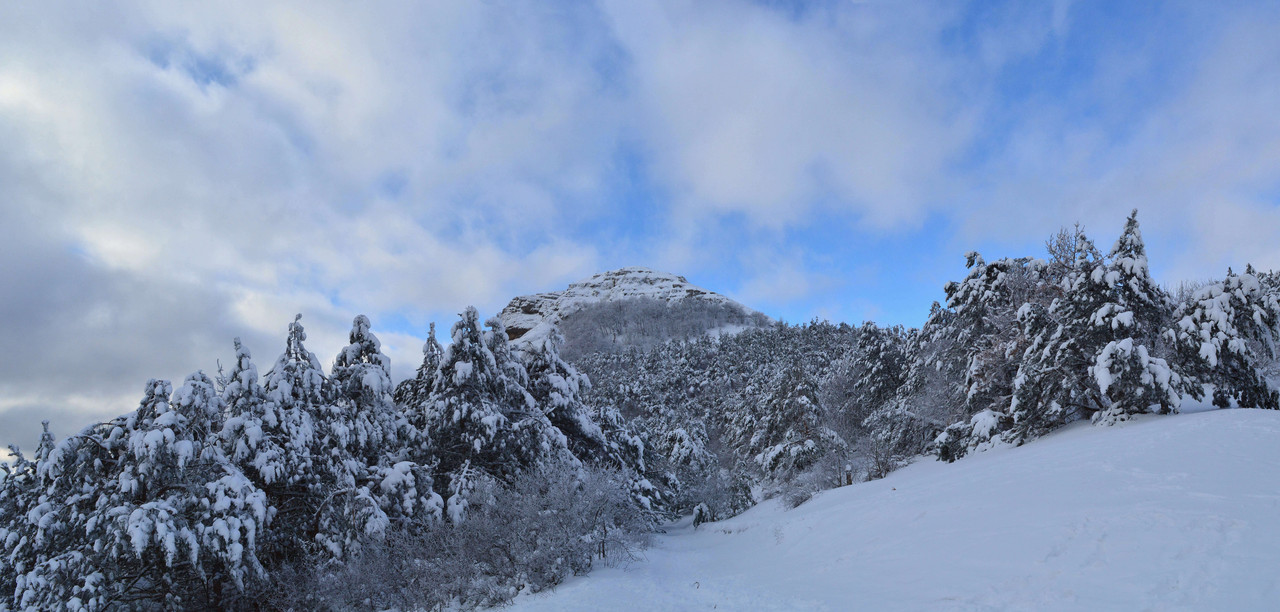 [ Group 143] DSC 7572 DSC 7574 3 images — Postimages