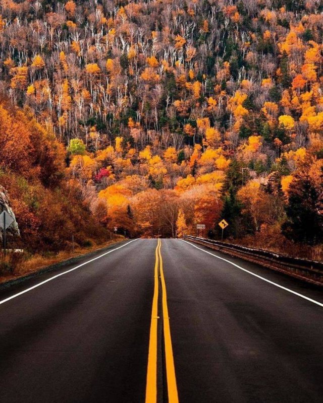 Amazing-3