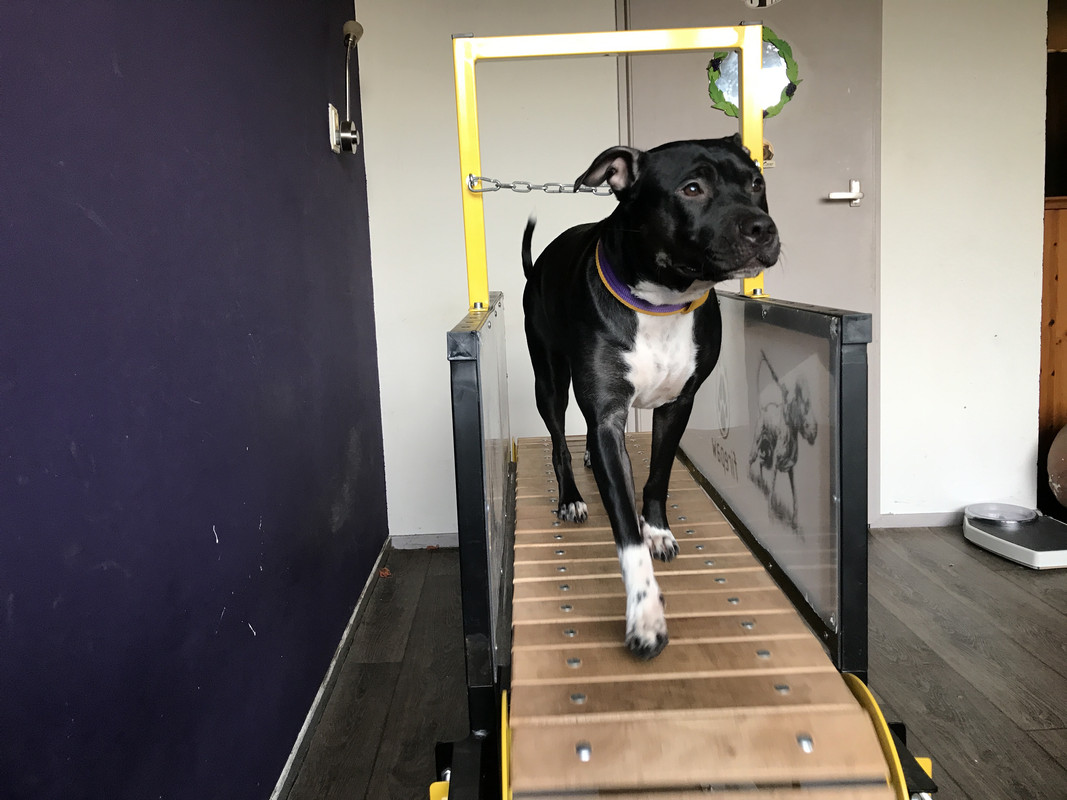 53C59381-8166-4259-B56D-EF4C178D52A2