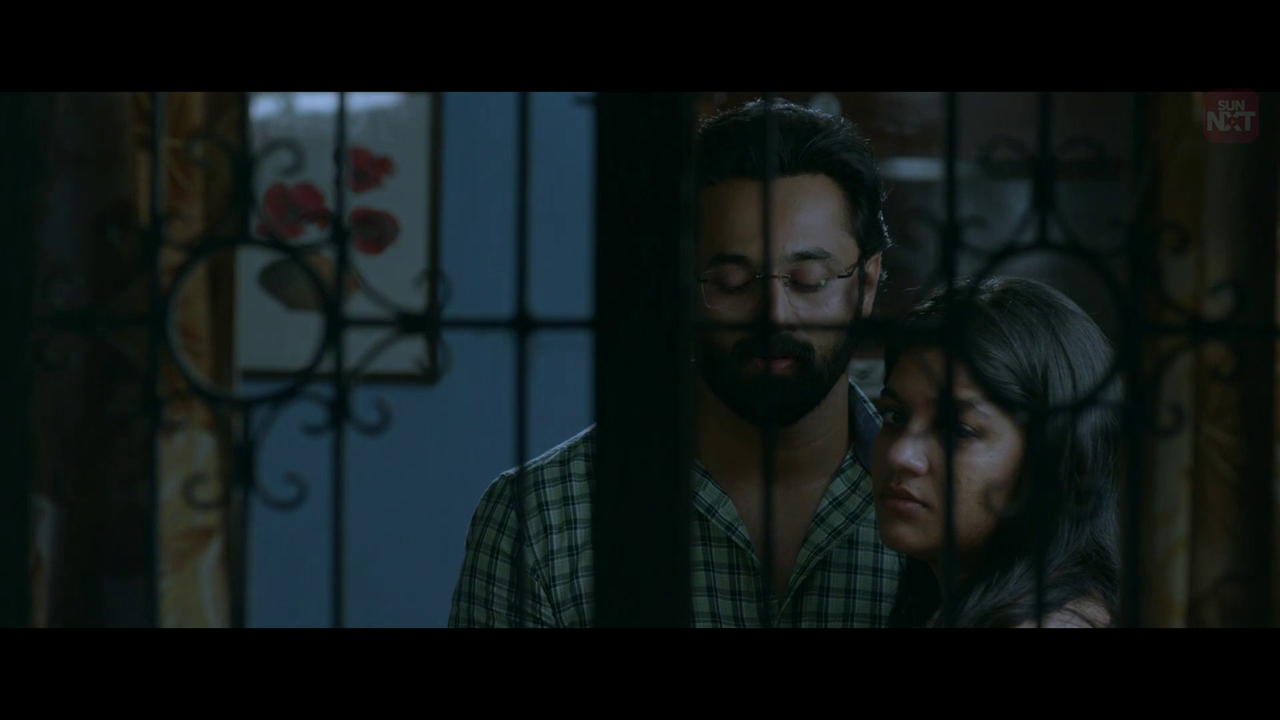 vlcsnap 2026 02 11 15h29m26s150