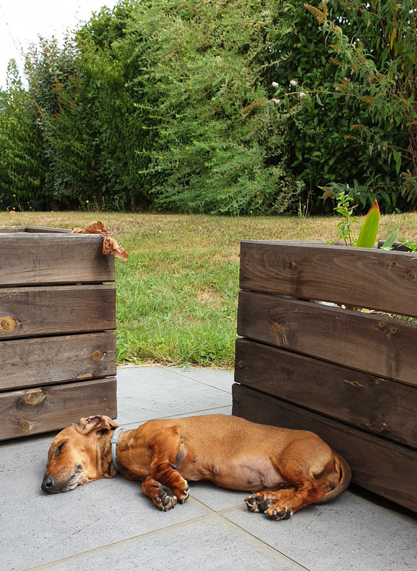 [Image: 20200822-125701.jpg]