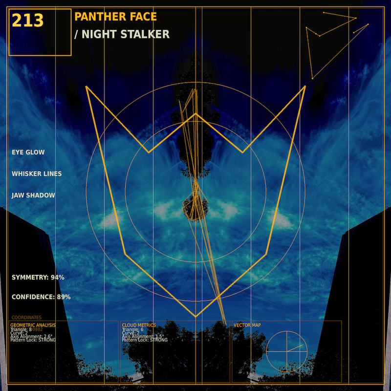 Panther face