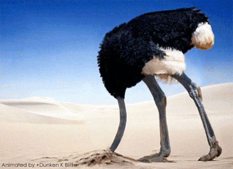 IMG-0615.gif