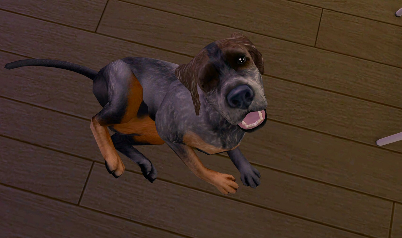 Sims2-EP9-2020-09-20-20-14-26-72