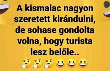 https://i.postimg.cc/xTnzbLN0/a-kismalac.png