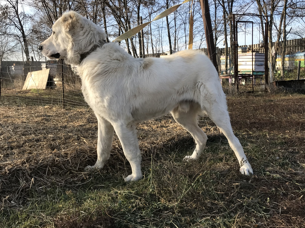 2338119D-EAEF-4373-AB9B-F80852944EB0