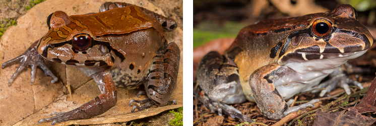 %D0%A1%D0%B2%D0%B8%D1%81%D1%82%D1%83%D0%