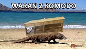 Obrazek