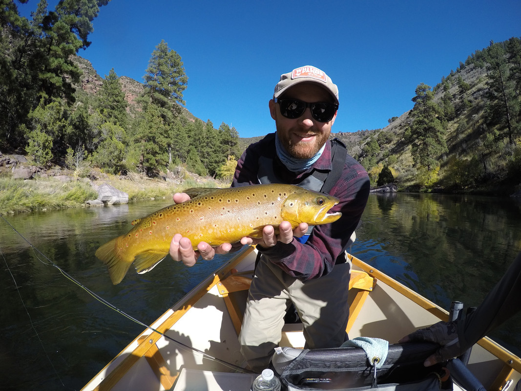 CAE5B3C4-1EDA-4E78-BF4F-3E72BF9B2691