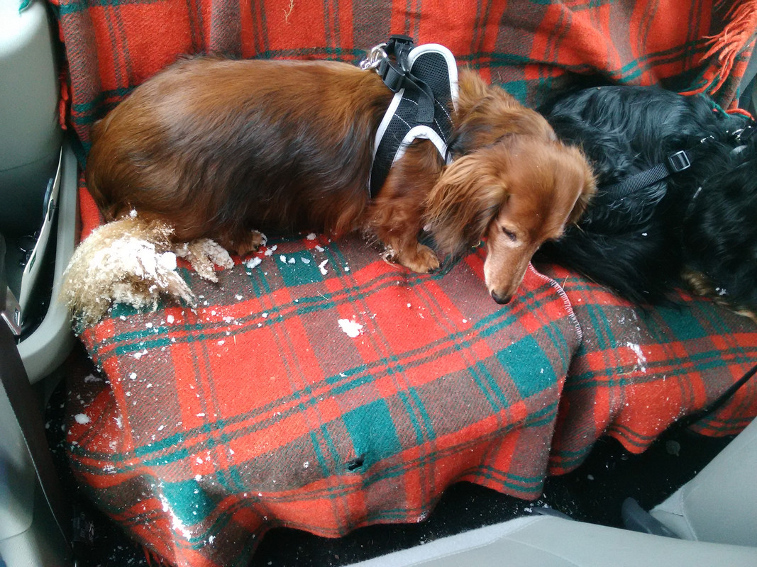 [Image: IMG-20211128-122535.jpg]