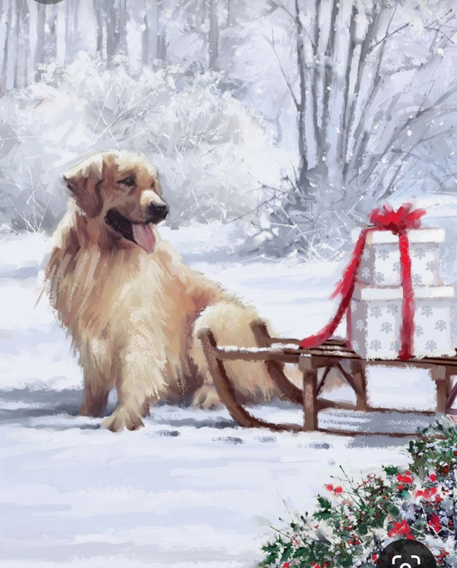 Screenshot_20230522_221531_Pinterest