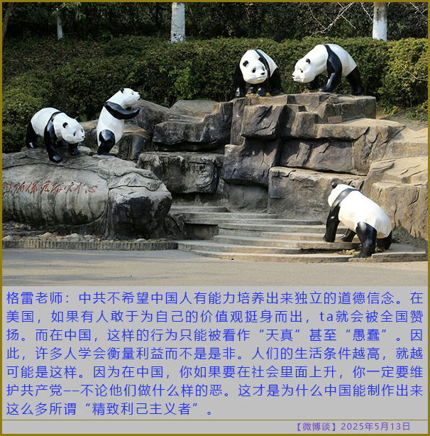 https://i.postimg.cc/xTpb0WcQ/20250513-bt-5.jpg