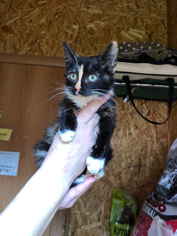 Маргарита_3