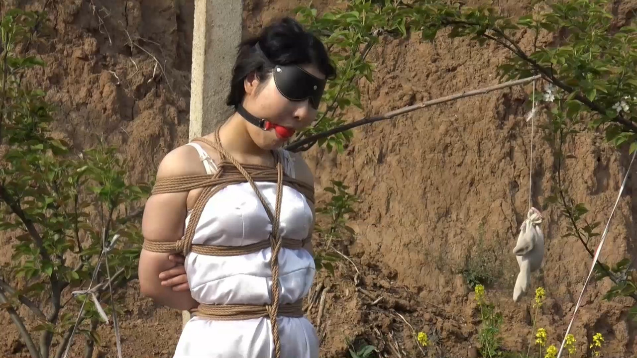 胜景影视 把M绑到庄子上当稻草人驱赶鸟雀.mp4_20220420_185228.235