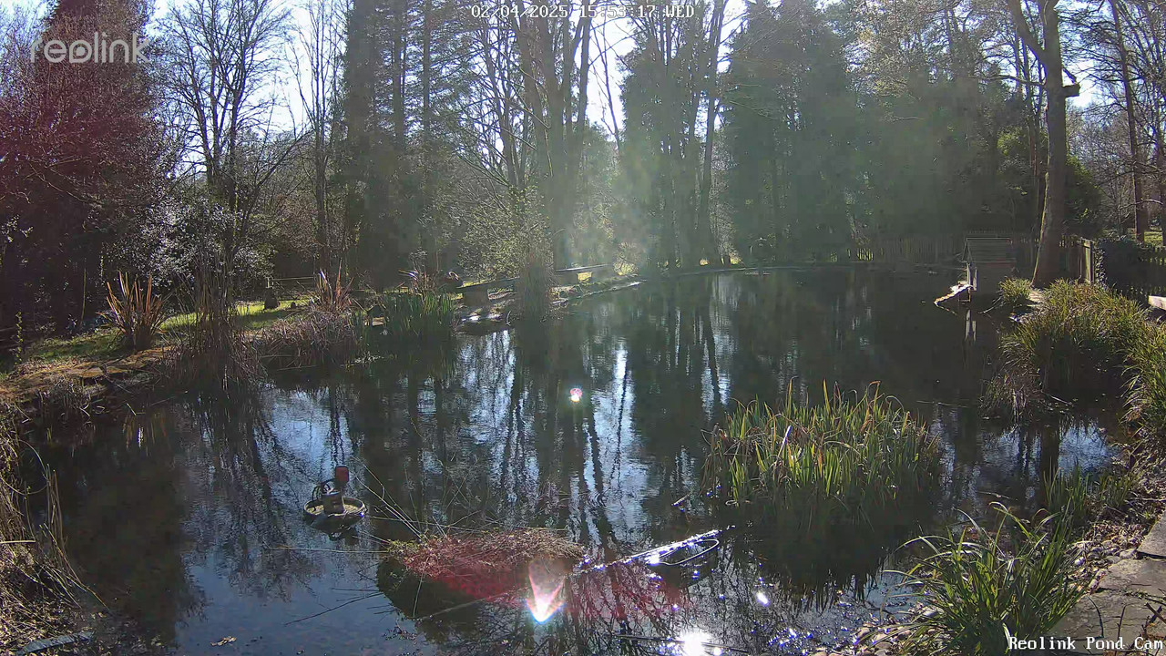 Reolink Pond Cam-20250402_161245