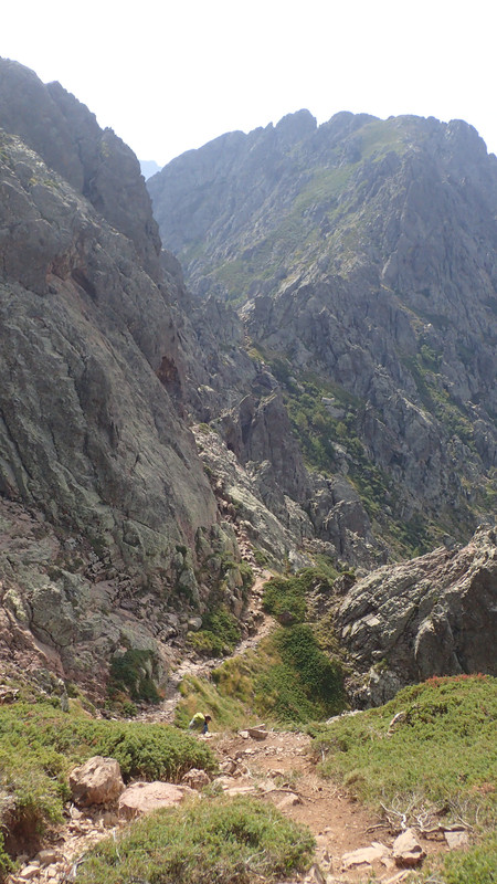 86963D59-80CB-4413-A246-7D9D6EB2D242