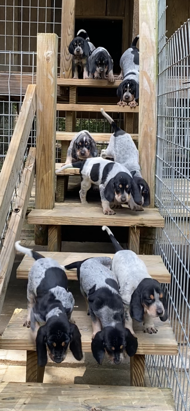 F4D9CAAC-9596-4017-8AA7-1AF38982417A