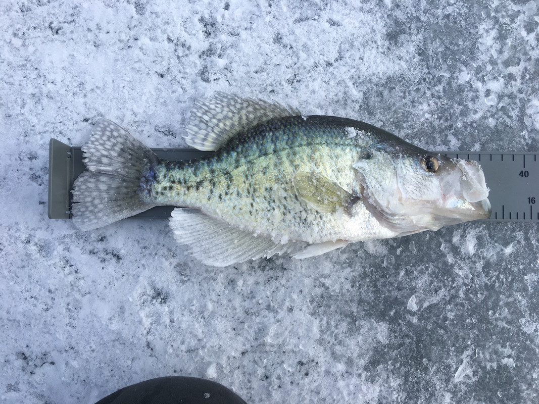 58789466-49A5-4E09-BAB2-877DADDA7885