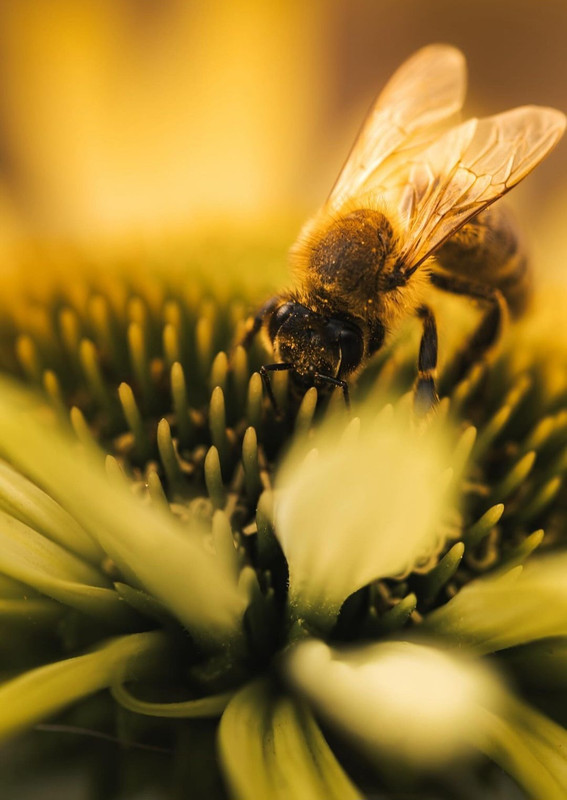 Screenshot_20240427_001751_Threads