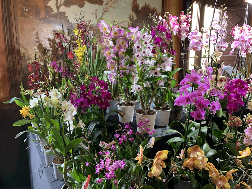 683F8255-CCD8-4D83-A0C4-10EF2F557FF5