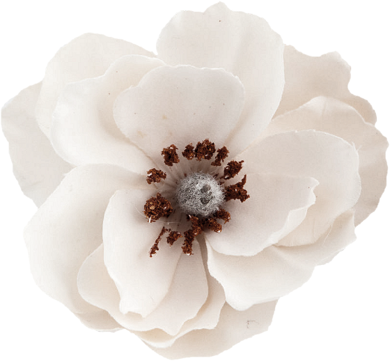 Autumn Witchery (112)