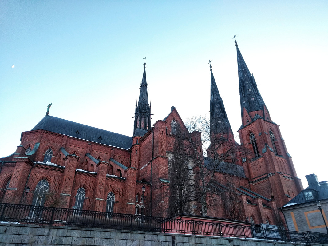 IMG-20190211-162215-01.jpg