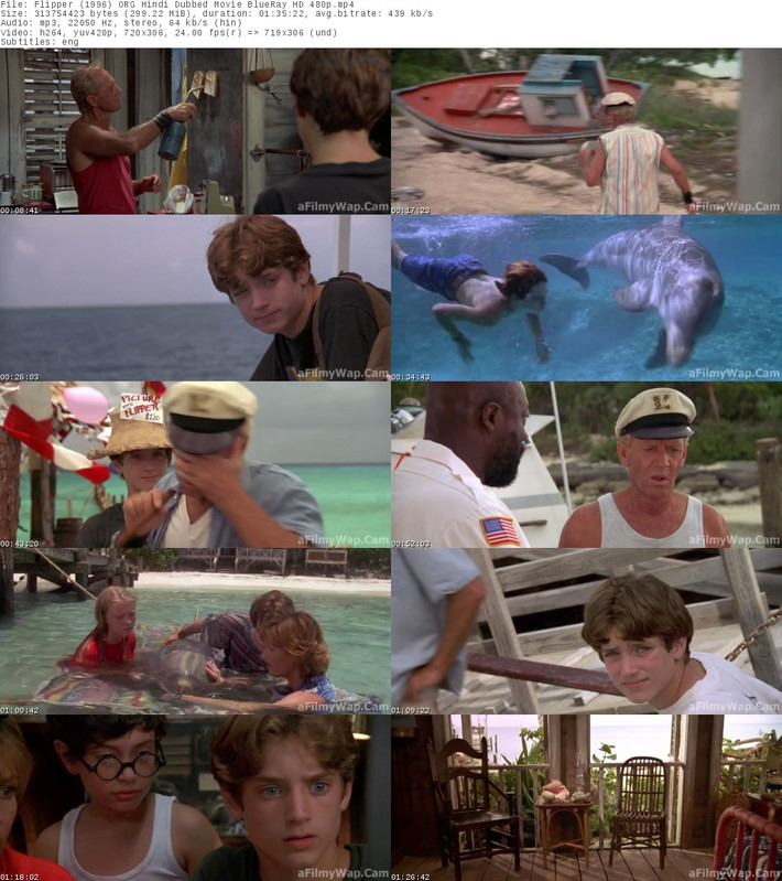 Flipper (1996) ORG Hindi Dubbed Movie Blue Ray HD 480p s
