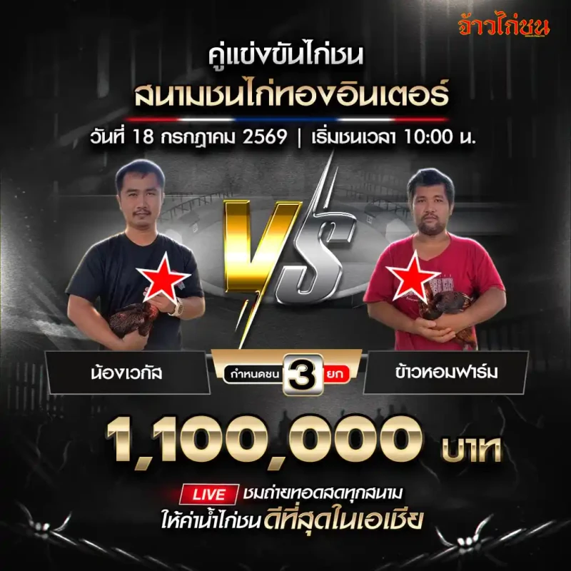 โปรแกรมไก่ชน สนามชนไก่ทองอินเตอร์ 18 กรกฎาคม 2569 น้องเวกัส พบ ข้าวหอมฟาร์ม