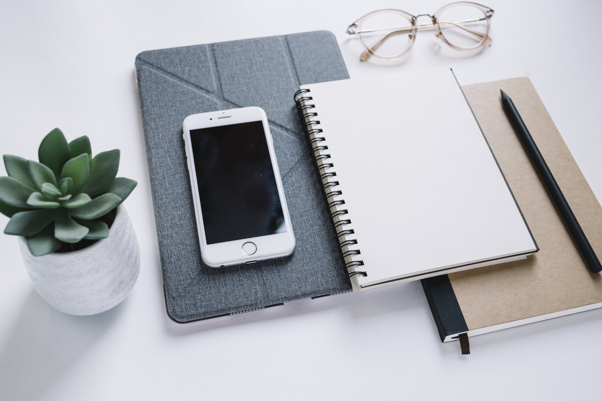 Planta junto a material de oficina