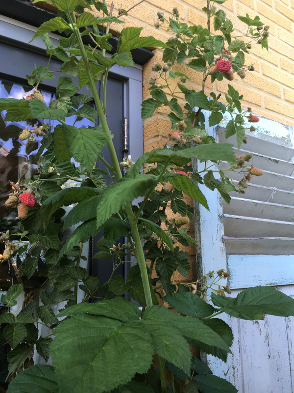 E81E727D-659B-4E14-A4F4-6F3F6CF149B1